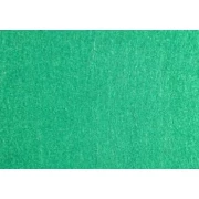 Filc - arkusz 20x30cm/1,5mm zieleń 